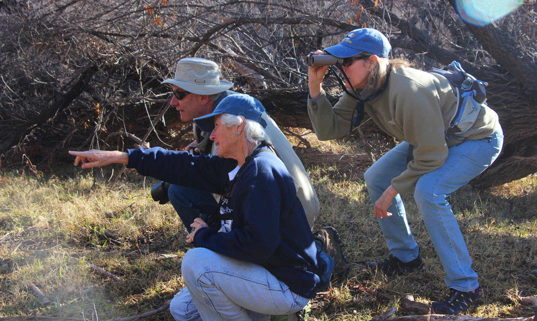Birding (copy)